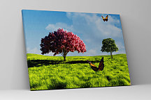 Obraz Leto v prírode 1372